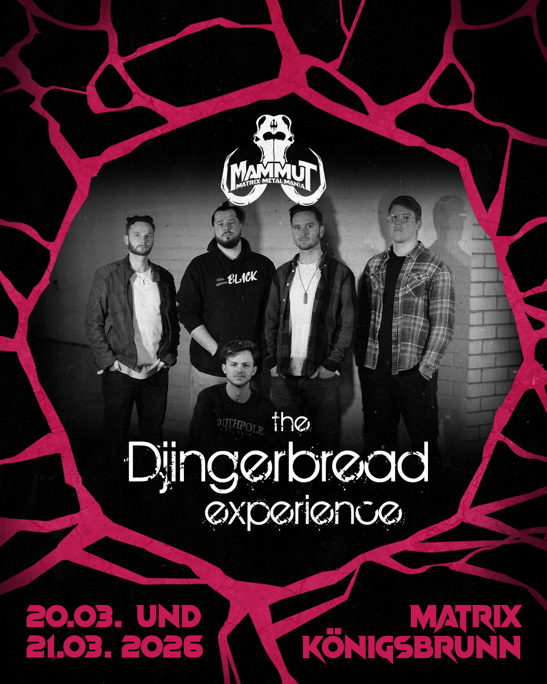 the Djingerbread Experience